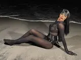 Toy RavenRise